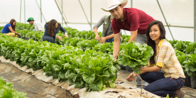 Productores del noreste de país trabajan en proyecto agrícola y ganadero | Motores y Tractores del Norte